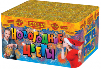 Новогодние цветы Фейерверк купить в Велиже | velizh.salutsklad.ru