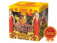 Красивая жизнь Фейерверк купить в Велиже | velizh.salutsklad.ru