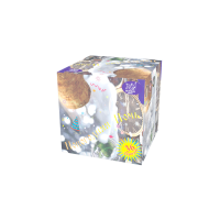 Новогодняя ночь Салют купить в Велиже | velizh.salutsklad.ru