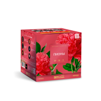 Пионы Салют купить в Велиже | velizh.salutsklad.ru