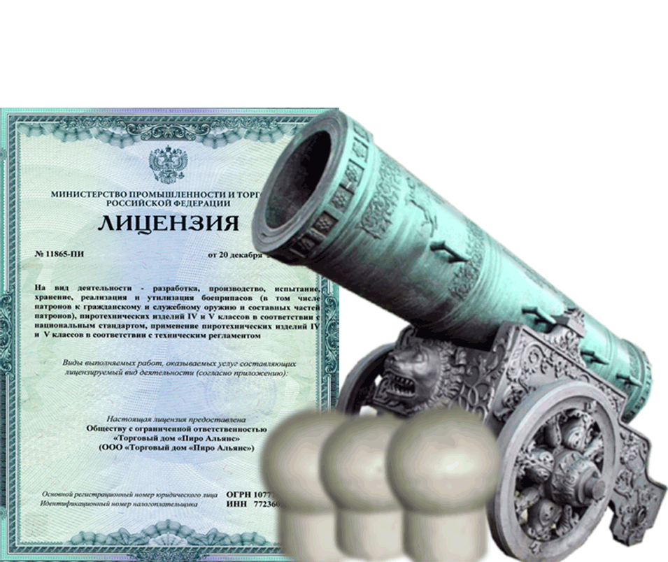 Заказать фейерверк на Новый Год - салют в Велиже