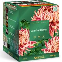 Хризантемы Фейерверк купить в Велиже | velizh.salutsklad.ru