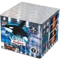 Косатка Фейерверк купить в Велиже | velizh.salutsklad.ru