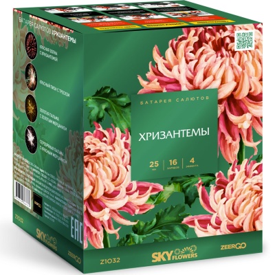 Хризантемы Фейерверк купить в Велиже | velizh.salutsklad.ru