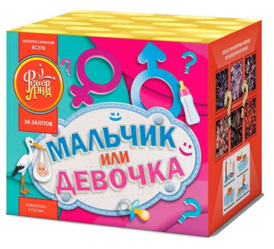 Мальчик или девочка М Фейерверк купить в Велиже | velizh.salutsklad.ru